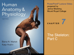 Chapter 7 The Skeleton part c