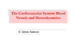 The Cardiovascular System: Blood Vessels and Hemodynamics