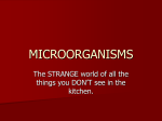 MICROORGANISMS