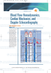 Blood Flow Hemodynamics, Cardiac Mechanics, and Doppler