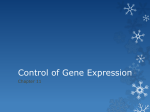 Control of Gene Expression