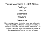 Tissue Mechanics II – Soft Tissue Cartilage Muscle Ligaments