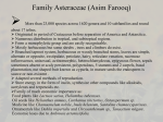 Family Asteraceae (Asim Farooq)
