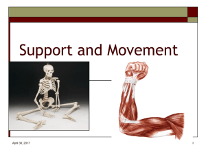 Support and Movement