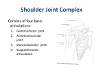 Gastrointestinal System Anatomy By