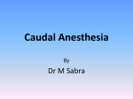 Caudal Anesthesia