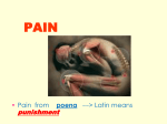 PAIN - ISpatula