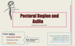 7.Pectoral Region and Axilla 2014-12-23 07:002.2 MB