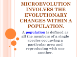 Microevolution involves the evolutionary changes within a population.