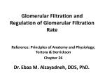 GFR - ISpatula