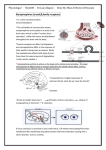 Physiology2 - Sheet#8 - Dr.Loai Alzgoul - Done By: Mais