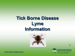 DCNR Tick Borne Disease Slideshow