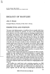 Biology of Mayflies - Ephemeroptera Galactica