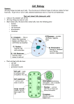 Unit 1 – Biology – Cells