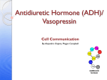 Antidiuretic Hormone (ADH)/ Vasopressin