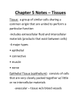 Chapter 5 Tissue Notes File