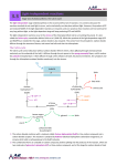 Light-independent reactions - Mrs Jones A