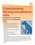 granulomatous_meningoencephalomyelitis