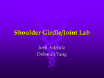 Shoulder Girdle/Joint Lab