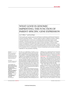 WHAT GOOD IS GENOMIC IMPRINTING: THE FUNCTION OF