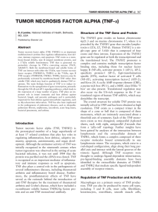 TUMOR NECROSIS FACTOR ALPHA (TNF-a)