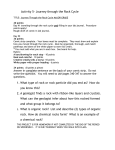 Journey Through the Rock Cycle Rubric: MAJOR GRADE