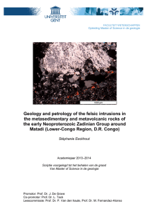 Geology and petrology of the felsic intrusions in the
