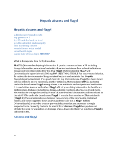 Hepatic abscess and flagyl