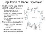 Regulation of Gene Expression