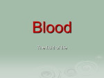 Blood - Oceanside Moodle