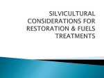Silvicultural Considerations for Restoration and Fuels Treatment