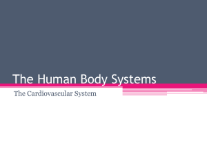 The Human Body Systems