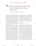 30 Beyond the Classical Receptive Field: Surround Modulation in
