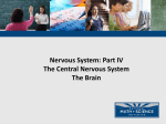 NMSI - 4 Central Nervous System