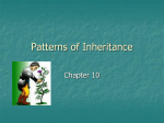 Patterns of Inheritance