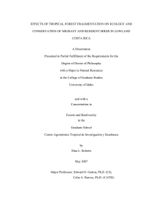 EFFECTS OF TROPICAL FOREST FRAGMENTATION ON