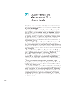 Ch31-Gluconeogenesis and Maintenance of Blood Glucose Levels