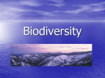 Biodiversity - HAPE @ Phoenix P-12