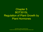 05-Plant-Growth-Hormones