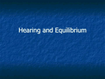 Ear and hearing notes