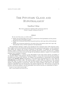 The Pituitary Gland and Hypothalamus
