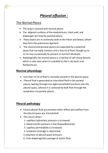 The Normal Pleura