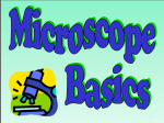Microscope PP File