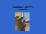 Invasive Species Grant Mulligan - University of Arizona | Ecology