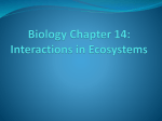 Biology Chapter 14: Interactions in Ecosystems