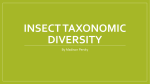 Insect Taxonomic Diversity