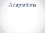 Adaptations File - Archbold Moodle