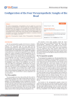 Configuration of the Four Parasympathetic Ganglia of the Head