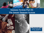 NMSI - (2) Innate Immune System