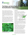 The History and Use of Kudzu in the Southeastern United States